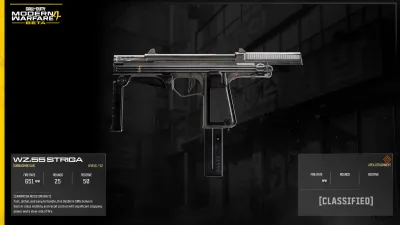 Wz. 55 Striga MW4 weapon artwork
